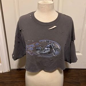 Destroyed Harley crop